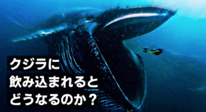 クジラに飲まれた人間はどうなってしまうのか？