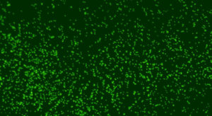 海底に1億年間閉じ込められた微生物を復活させることに成功